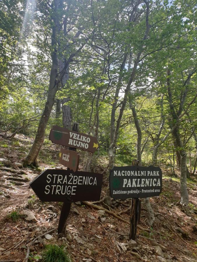 Vito Apartment Starigrad Paklenica Ngoại thất bức ảnh