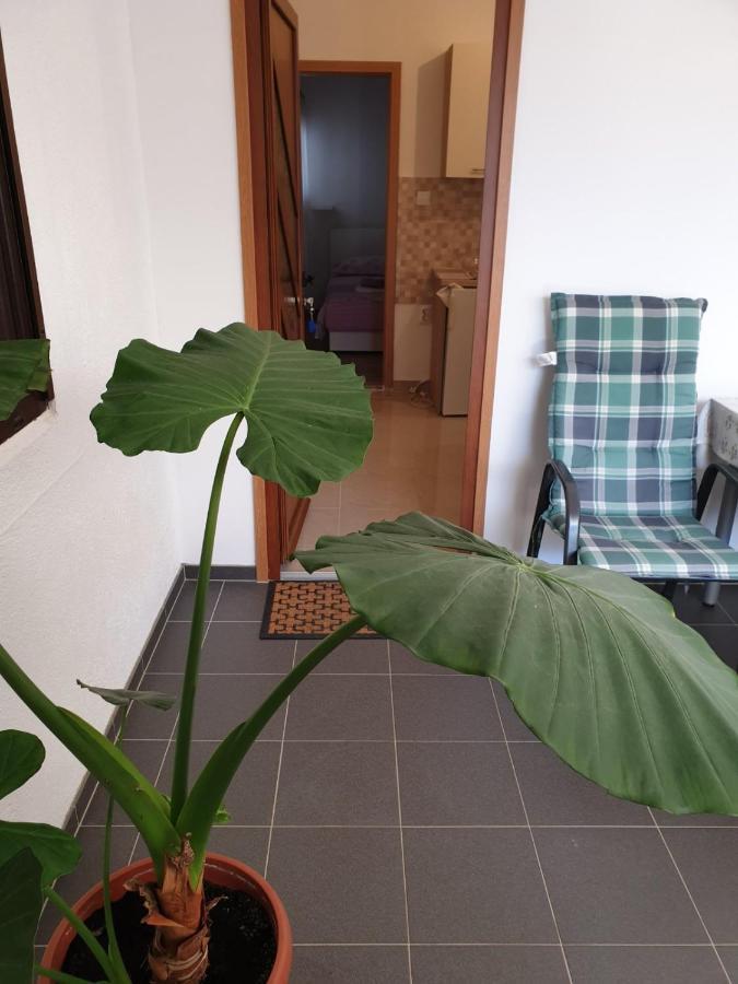 Vito Apartment Starigrad Paklenica Ngoại thất bức ảnh