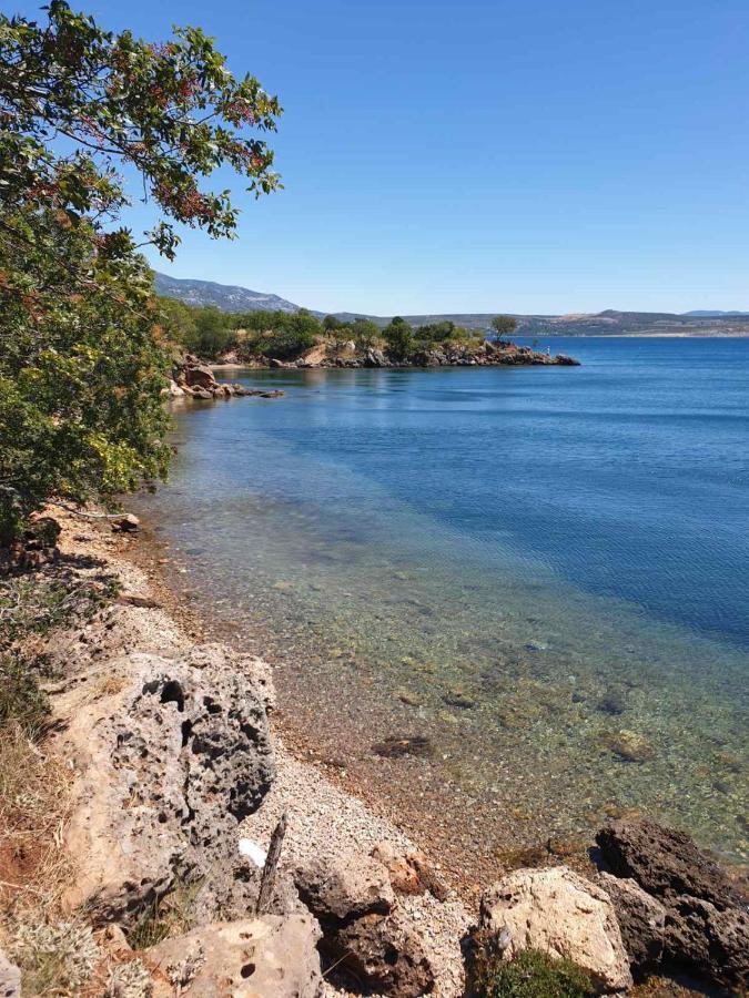 Vito Apartment Starigrad Paklenica Ngoại thất bức ảnh